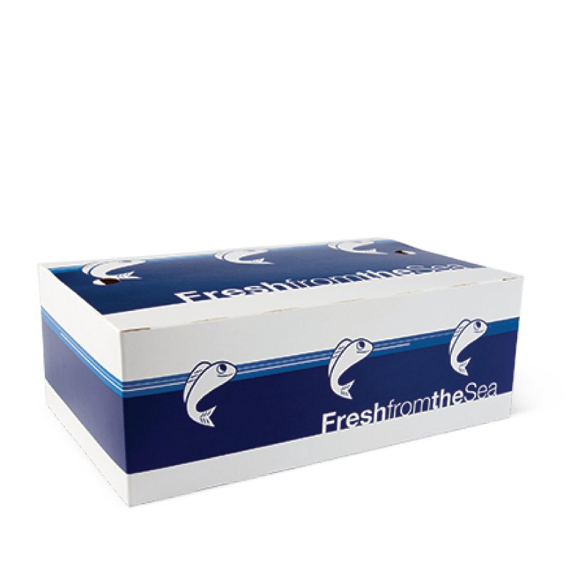 FISH N CHIP BOX LARGE (PKT 50)