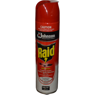 Raid Crawling Insect Surface Spray - 450g